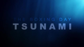 Tsunami S01E01 Impact XviD-AFG EZTV