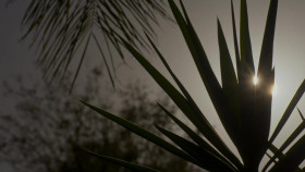 Twin Love S01E06 720p WEB h264-EDITH EZTV