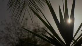 Twin Love S01E06 XviD-AFG EZTV