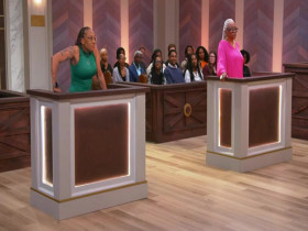 Tyler Perrys Sistas S07E22 480p x264-mSD EZTV