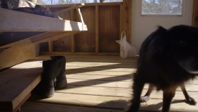 UFO Witness S01E06 Claws In The Night 1080p HEVC x265-MeGusta EZTV