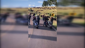 Unbelievable Moments Caught On Camera S06E04 1080p WEB H264-CBFM EZTV