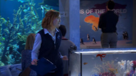 United States of Al S02E18 720p HEVC x265-MeGusta EZTV