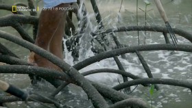 Unknown Waters With Jeremy Wade S01E02 1080p HDTV H264-CBFM EZTV