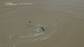 Unknown Waters With Jeremy Wade S01E03 1080p HEVC x265-MeGusta EZTV