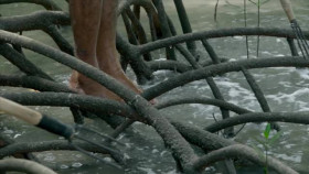 Unknown Waters With Jeremy Wade S01E03 XviD-AFG EZTV
