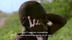 Unreported World S39E03 Swarm Chasers XviD-AFG EZTV