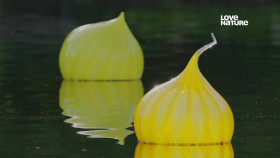 Uptown Otters S01E03 1080p HDTV H264-CBFM EZTV