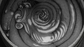 Uzumaki S01E01 XviD-AFG EZTV