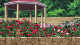 Vampire Dormitory S01E06 720p WEB H264-SKYANiME EZTV