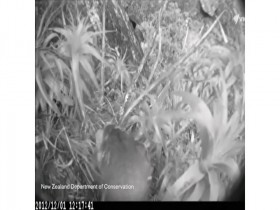 Vice News Reports S01E09 Animal Takeover 480p x264-mSD EZTV