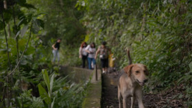 VICE S09E13 720p HEVC x265-MeGusta EZTV