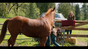 Virgin River S06E07 720p HEVC x265-MeGusta EZTV