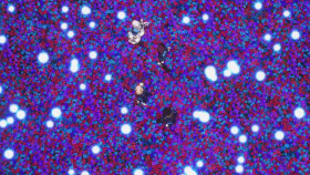 VISUAL PRISON S01E12 1080p HEVC x265-MeGusta EZTV