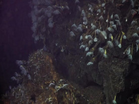 Volcanic New Zealand S01E02 480p x264-mSD EZTV