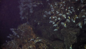 Volcanic New Zealand S01E03 720p WEB h264-SKYFiRE EZTV