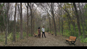 Walker S03E12 Best Laid Plans XviD-AFG EZTV