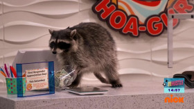Warped S01E10 Raccooned HDTV x264-CRiMSON EZTV