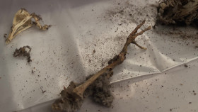 We Bought A Funeral Home S01E03 We Have a Ghost 1080p WEB h264-B2B EZTV