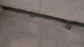 Whats Wrong With That House S01E04 XviD-AFG EZTV