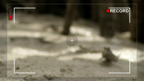 When Nature Calls With Helen Mirren S01E02 1080p HEVC x265-MeGusta EZTV