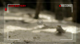When Nature Calls With Helen Mirren S01E02 WEB x264-PHOENiX EZTV