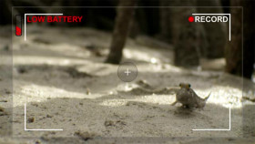 When Nature Calls With Helen Mirren S01E02 XviD-AFG EZTV