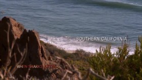 When Sharks Attack S01E03 California Killer XviD-AFG EZTV