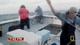 Wicked Tuna Outer Banks S05E09 Northern Fury 720p HDTV x264-DHD EZTV
