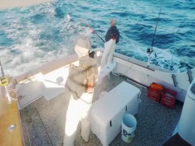 Wicked Tuna Outer Banks S07E14 Reel Tension 480p x264-mSD EZTV