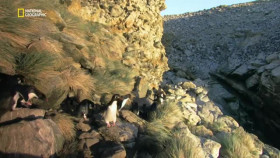 Wild Argentina S01E02 XviD-AFG EZTV