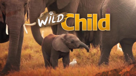 Wild Child S01E08 1080p WEB h264-SKYFiRE EZTV