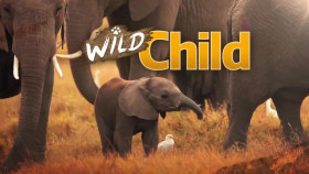 Wild Child S01E08 720p WEB h264-SKYFiRE EZTV