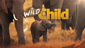 Wild Child S01E08 XviD-AFG EZTV