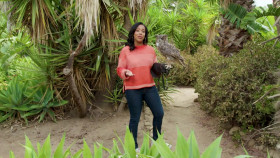 Wild Child S02E07 720p WEB h264-DiRT EZTV