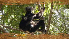 Wild Child S02E13 720p WEB h264-DiRT EZTV