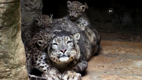 Wild Child S02E21 720p WEB h264-DiRT EZTV