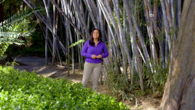 Wild Child S02E22 1080p WEB h264-DiRT EZTV