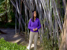 Wild Child S02E26 480p x264-mSD EZTV