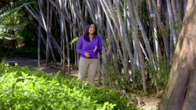 Wild Child S02E26 XviD-AFG EZTV