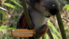 Wild Child S03E13 720p WEB h264-DiRT EZTV