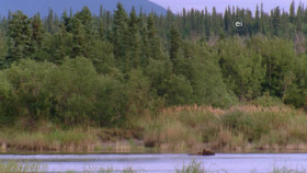 Wild Child S03E14 1080p WEB h264-DiRT EZTV