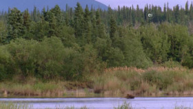 Wild Child S03E14 XviD-AFG EZTV