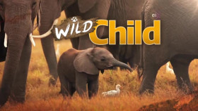 Wild Child S03E17 XviD-AFG EZTV