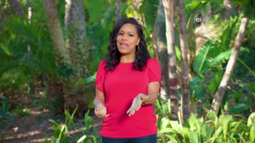 Wild Child S03E19 XviD-AFG EZTV