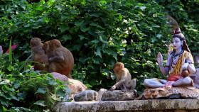 Wild Child S03E21 720p WEB h264-DiRT EZTV