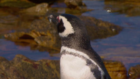 Wild Child S03E25 1080p WEB h264-DiRT EZTV