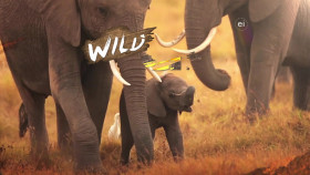 Wild Child S04E01 1080p WEB h264-DiRT EZTV