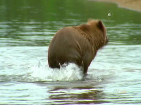 Wild Child S04E03 480p x264-mSD EZTV