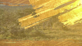 Wild Child S04E08 1080p WEB h264-DiRT EZTV